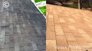 Roof Cleaning in Morrisville, NC